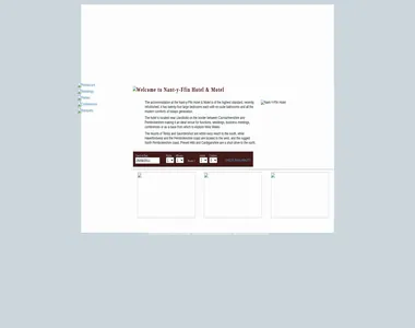 nantyffin.co.uk in 2011